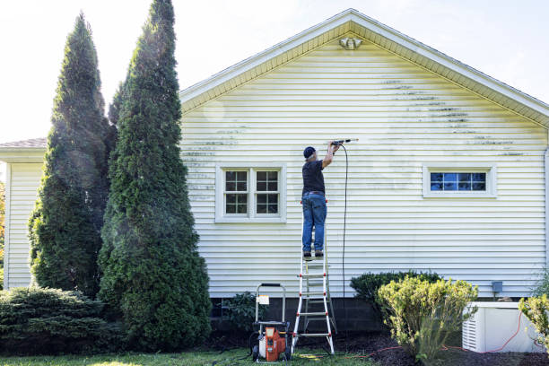 Best House Exterior Washing  in David City, NE